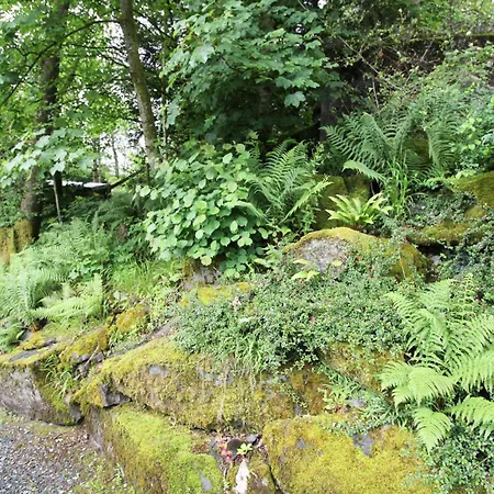 Neaum Crag Ideal For A Couple Or Family With Young Children In A Woodland Setting At Skelwith Bridge Semesterbostad