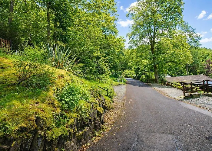 度假居 Neaum Crag Ideal For A Couple Or Family With Young Children In A Woodland Setting At Skelwith Bridge